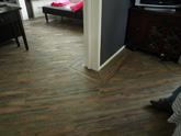 PVC Vloer